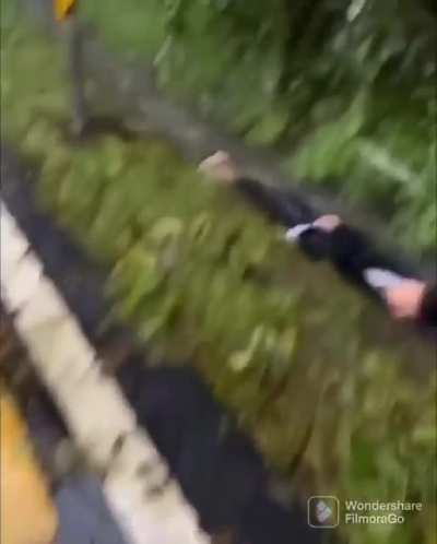 A walk in the rain