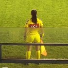 REFF.... IN ACTION