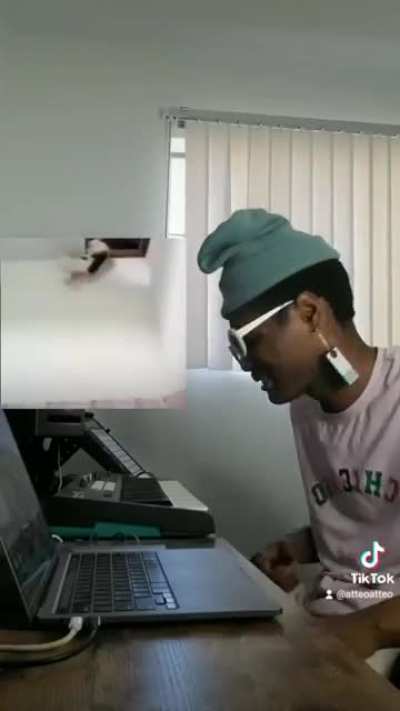 Poor cat. Atleast the beat was catchy.