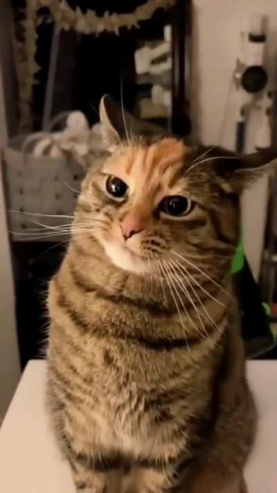 I said "Nooo" ?