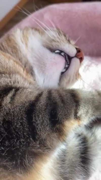 Mild startle