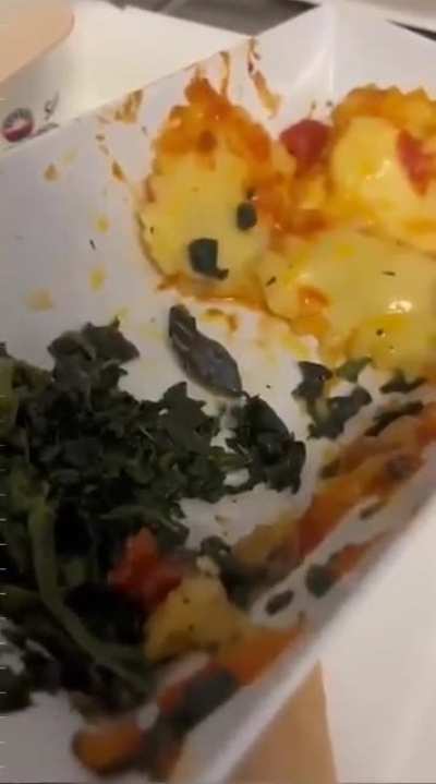Snake head served in a crew meal onboard a plane recently