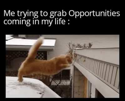 The Task..........