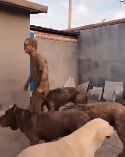 How was your walk honey