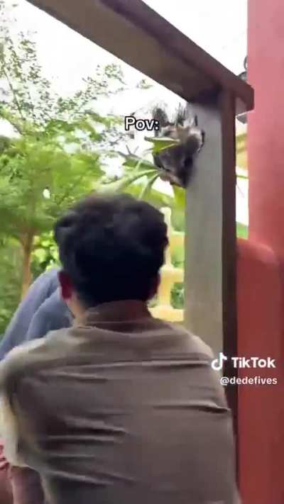"Believe me, it wasn't me"