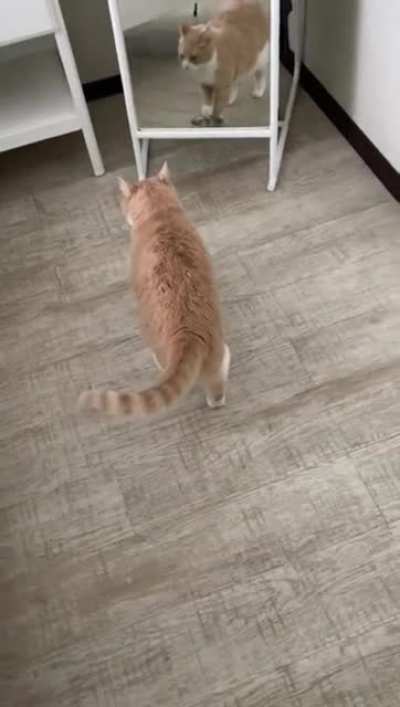 I want to eat now!