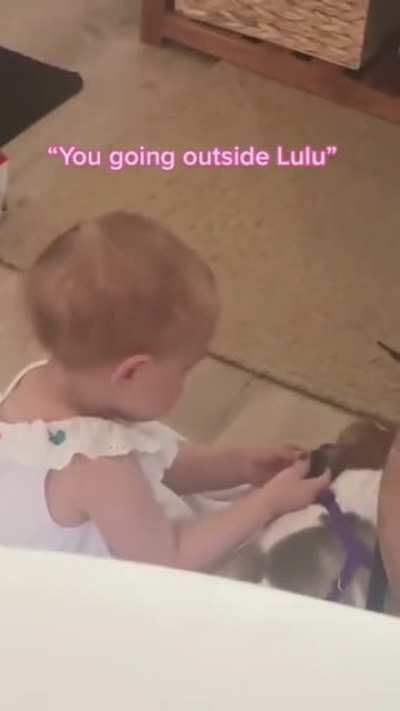 Mom's toddler tries to comfort a dog with separation anxiety. ???❤️