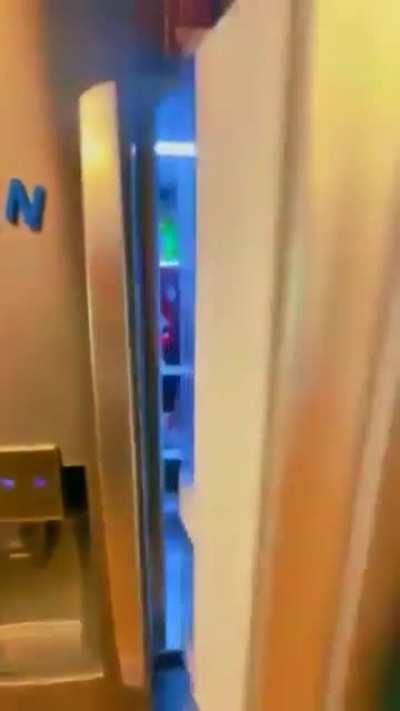 Fridge