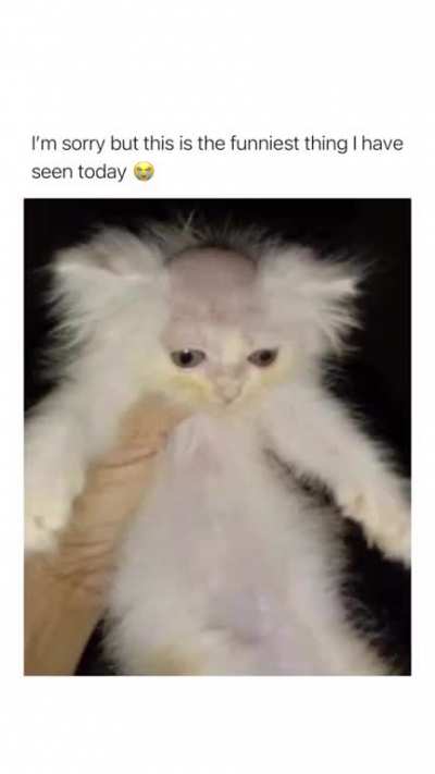 Baggle No