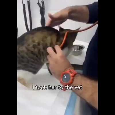 this story is so wholesome! ??