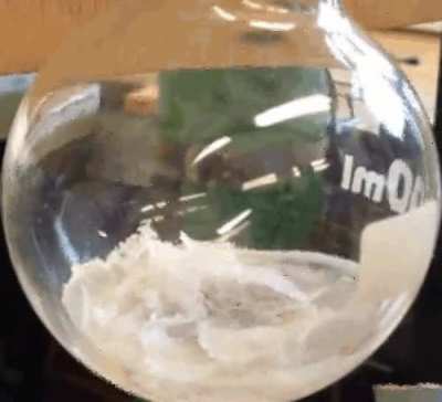 Water can boil and freeze at the same time... pressure and temperature can be set so all three states of solid, liquid and vapour coexist in equilibrium. This is called the triple point. Reality is crazy sometimes.