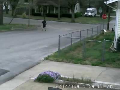 Just dog and mailman things