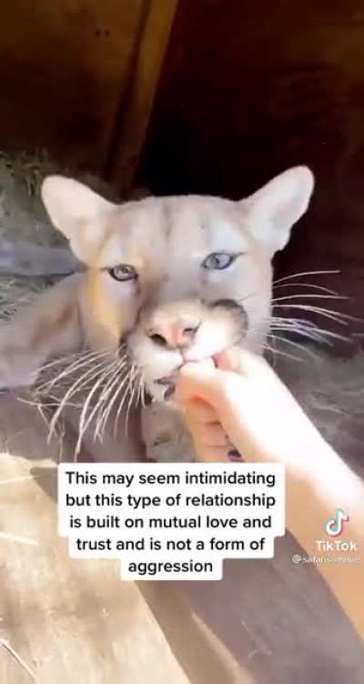 " Hold my toof ma'! "