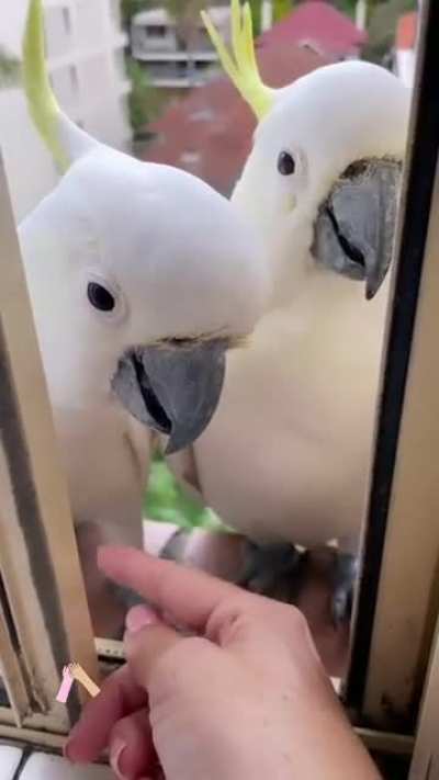 Let’s hold hands
