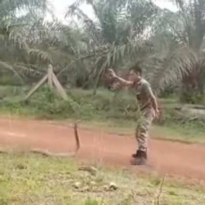 Brave Malaysian soldier catching king cobra.