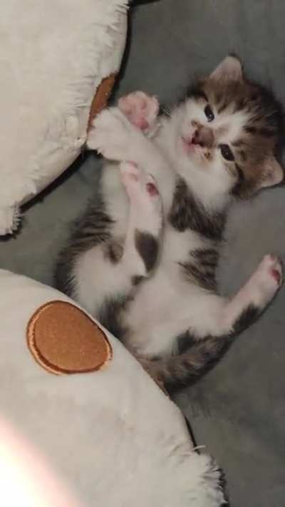 how cute he can be