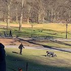 Day in the park