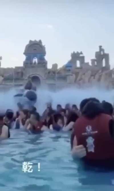 Killer whale enters the scene