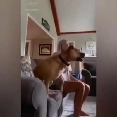 The real fan