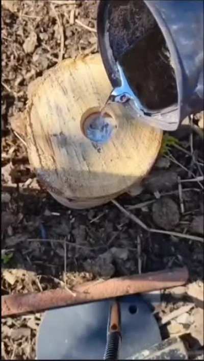 Maybe maybe maybe