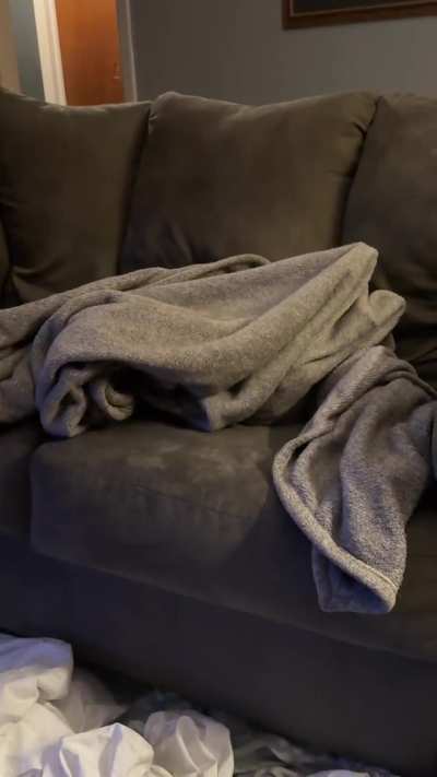 She loves playing under her blankets ?❤️
