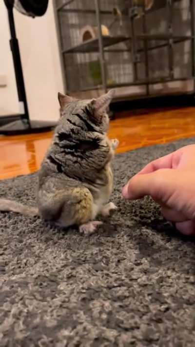 Those little hands ?