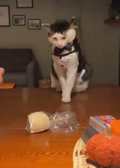 Vogue