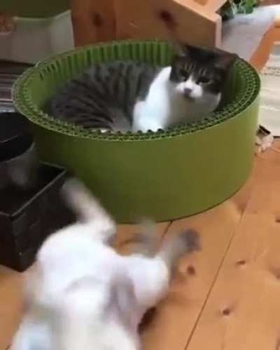 Shocked