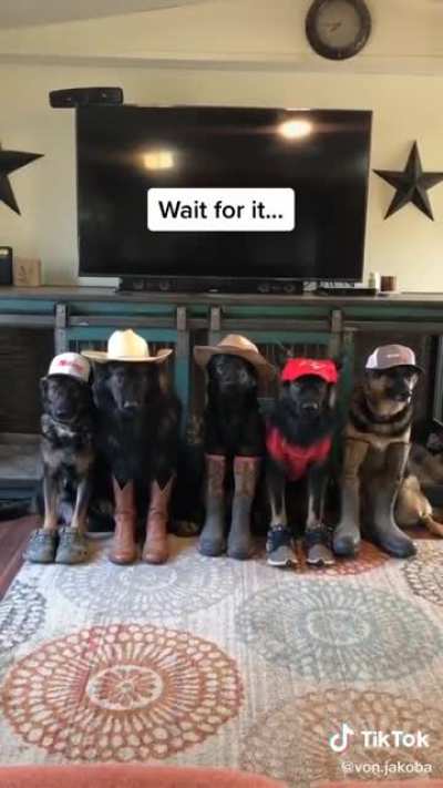 A cowboy needs a hat