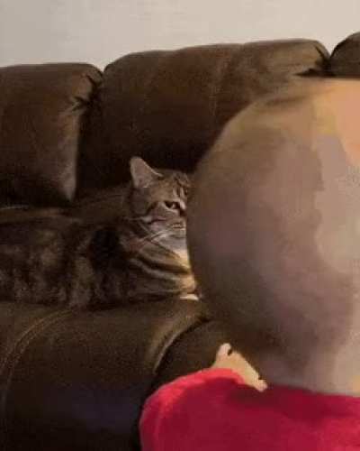 " What have I done to deserve this.. "