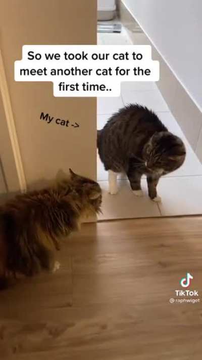 It happens?‍?