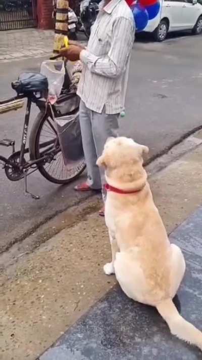 A Beautiful Gift ??