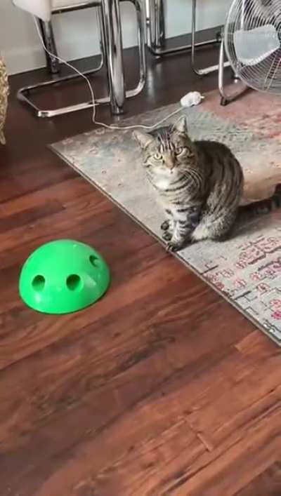 The disdain is palpable