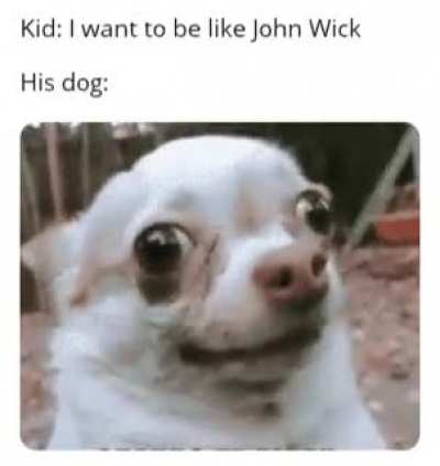 Poor dog