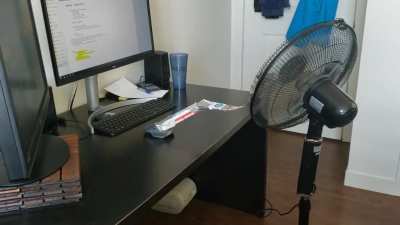 How to appear online while working from home