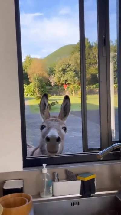 Forgive my daring, but I'm here for breakfast ??