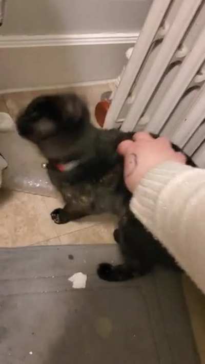 Inky squeak