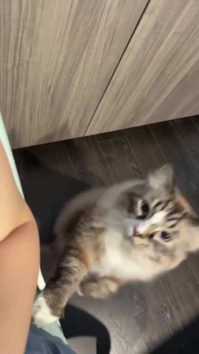 It’s a hug!