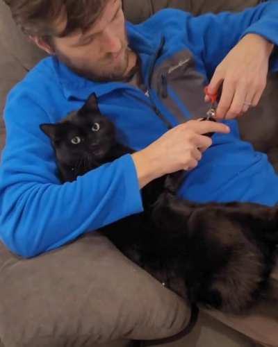 Pawdicure