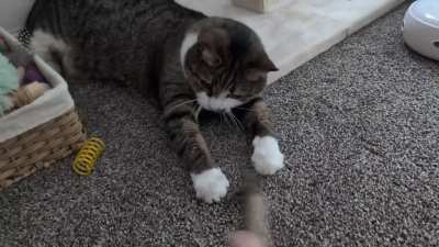 If she keeps randomly tapping she'll eventually get it, right? ?