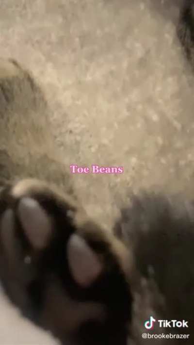 Jolene? ?‍? Think again! ???