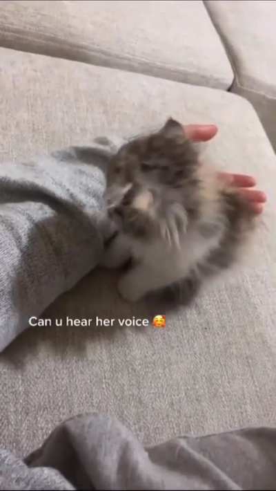 Sound on ?