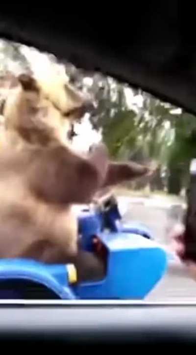 A funny russian citizen.???