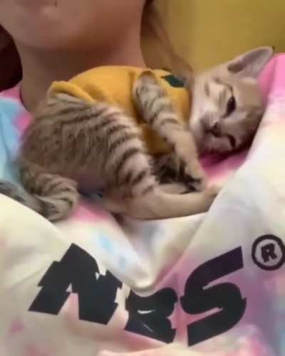 Perfect spot