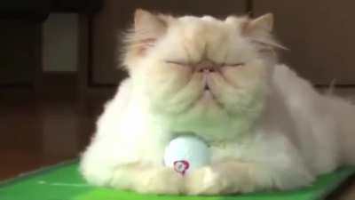 I am a golf professional