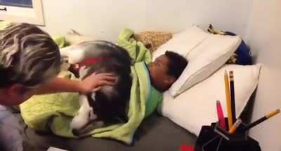 "Why were you late for school? My dog didn't let me get out of bed.."