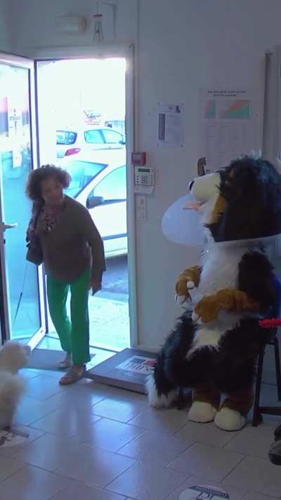 Veterinary Clinic
