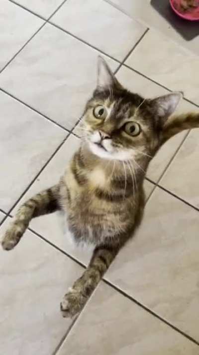 After buying some fresh treats!