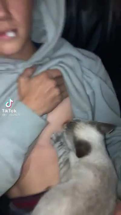 breastfeeding who?