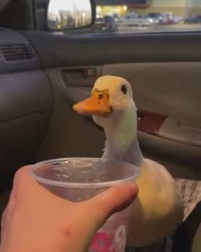 I am thirsty give w cold drink now!
